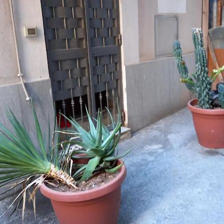 Viola Home Palermo Zewnętrze zdjęcie